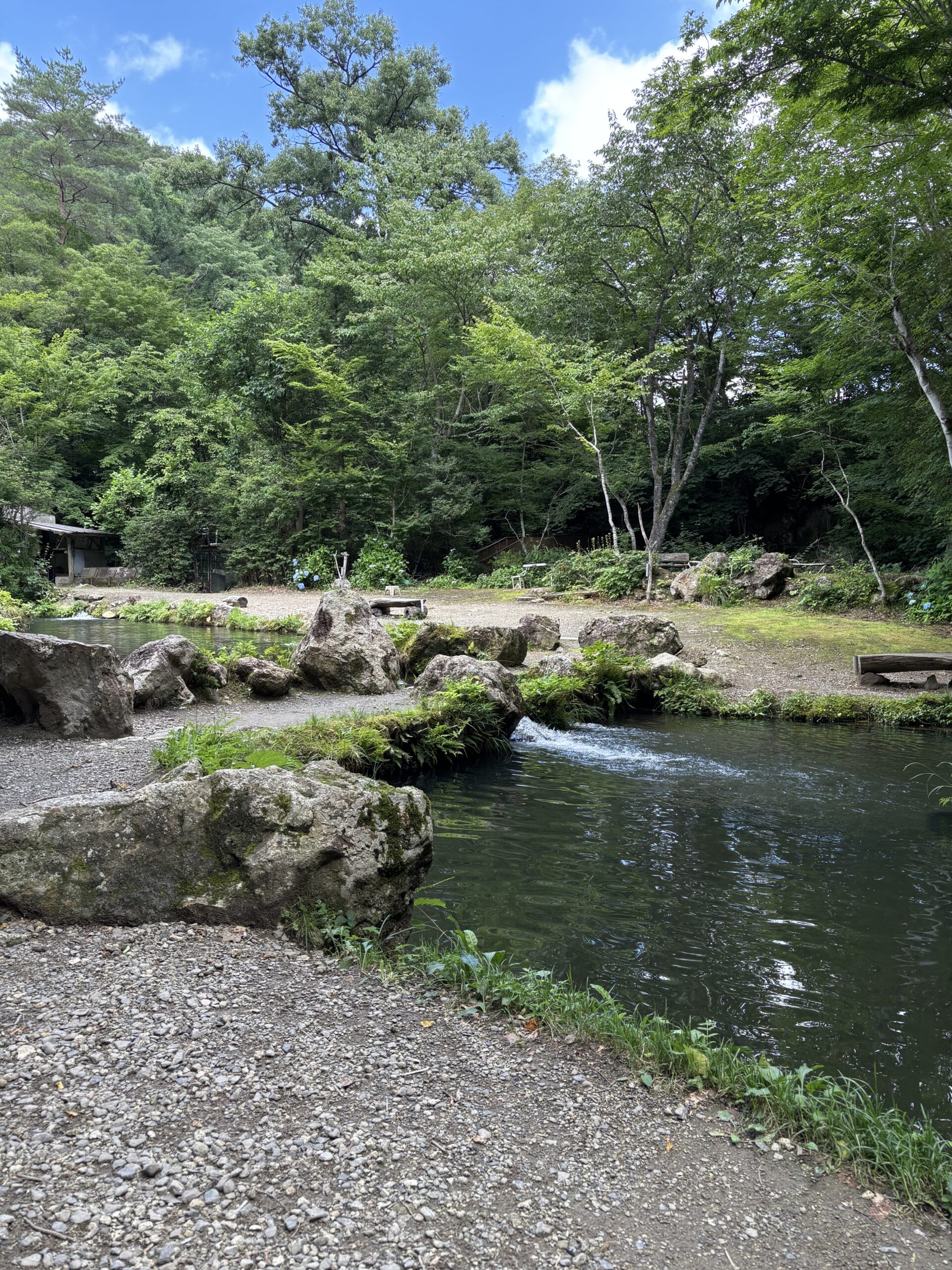 初めてのニジマス釣りに行ってきた！