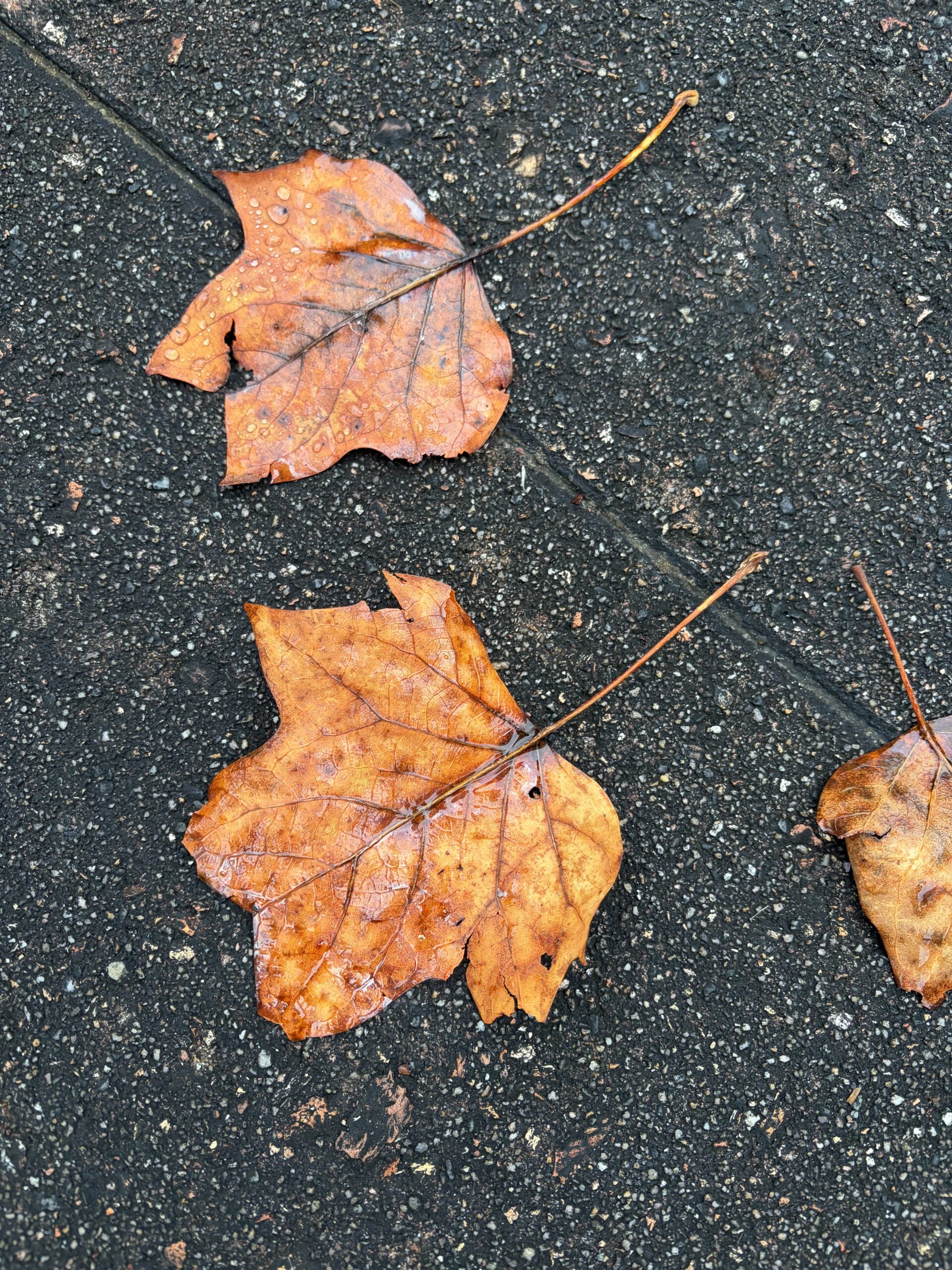 落ち込んだ時にこそ花束を。心を整える小さな習慣